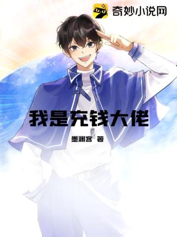 我是充钱大佬封面