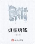 贞观唐钱封面