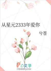 从星元2333年爱你封面