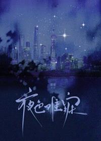 夜色难寐封面