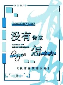 没有你该怎么办封面