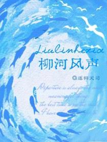 柳河风声封面