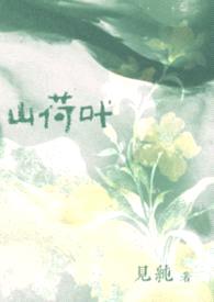 山荷叶（豪门公媳）封面