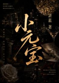 小元宝（NPH）封面