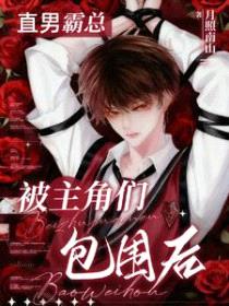 直男霸总被主角们包围后封面