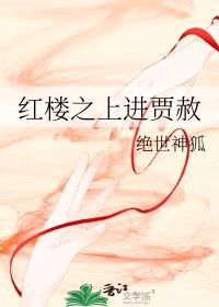 [红楼同人] 红楼之上进贾赦封面
